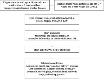 Frontiers | Study On The Relationship Between Intrapartum Group B ...